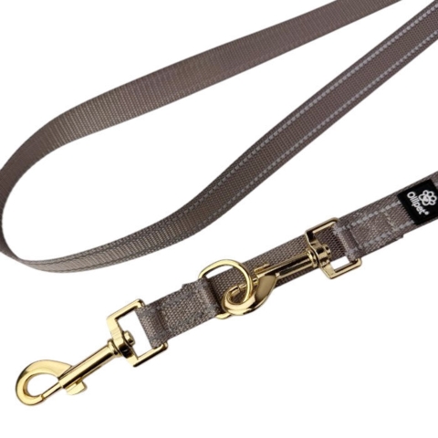 Ollipet Aarhus Dressurline m. Guld