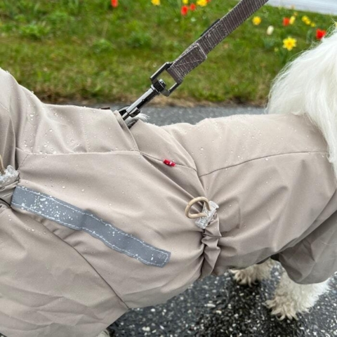 Hundesnor og regnjakke med reflekser for optimal synlighed i mørket.