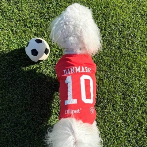 Sjov fodboldtrøje til hunde. Børnene vil elske at hunden også er i sin fodboldtrøje.