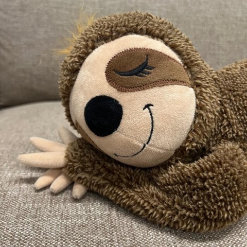 Blødt dovendyr som krammebamse