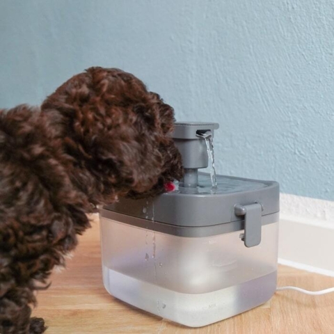 Sjov og anderledes vandskål