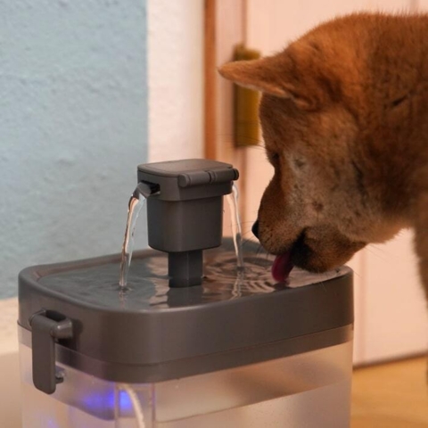 Perfekt størrelse til hvalpe