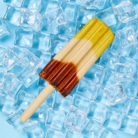 Pup Ice Raket is | Banan og Chokolade – perfekt godbid til hunde på varme sommerdage