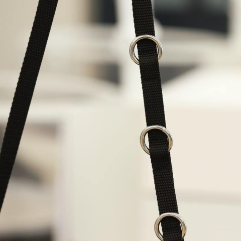 Justerbar strop til hunde fra Aeolus. Ideel til brug sammen med dobbeltgalge