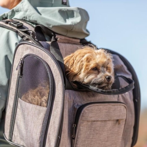 Åben front giver nem adgang for hunden – ideel som transporttaske til rejser og dyrlægebesøg