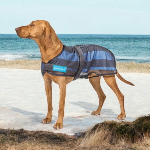 Cool on Track Kølende Hundedækken - flere størrelser
