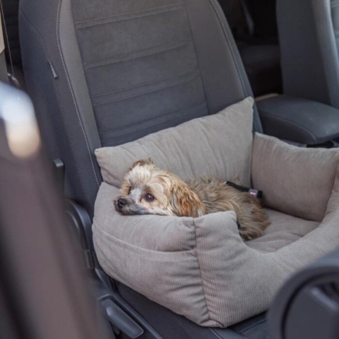 Komfortabel og stilfuld hundekurv til bilen.