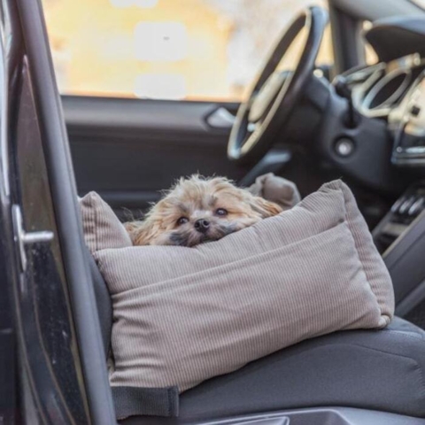 Forkæl din hund med Trixie autostol til hunde - så i kan rejse stilfuldt og komfortabelt