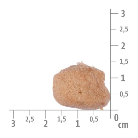 Lækkert hundemad med frysetørret kødstykker.