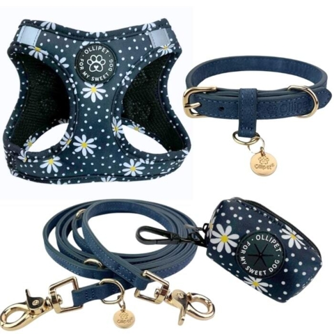Elegant hundesele, snor, halsbånd og pøllepose taske.