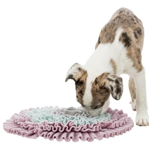 Aktivitetslegetøj fra Trixie som træner hvalpens snude