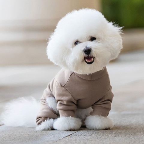 Ollipet Cozy Warmer | Body Warmer