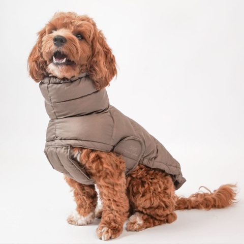 Ollipet Alpine Explorer Hundejakke