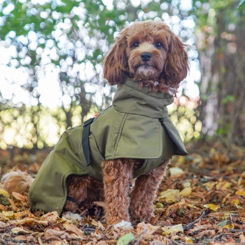 Louis i sin Alaska Warmer Hundejakke - størrelse Large