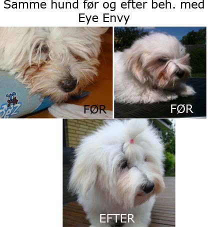 Eye Envy Tear Stain Remover Starters Pack