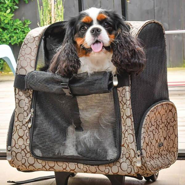 Doogy Rejse Rygsæk til hunde | Regulerbar skulderstrop