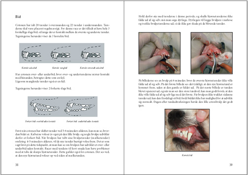 Bogen om Coton de Tuléar - indhold | Christina Bæk Møller | Hundebog