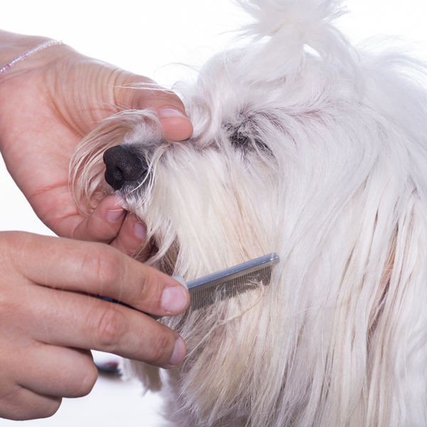 KW SMART Mini Tættekam