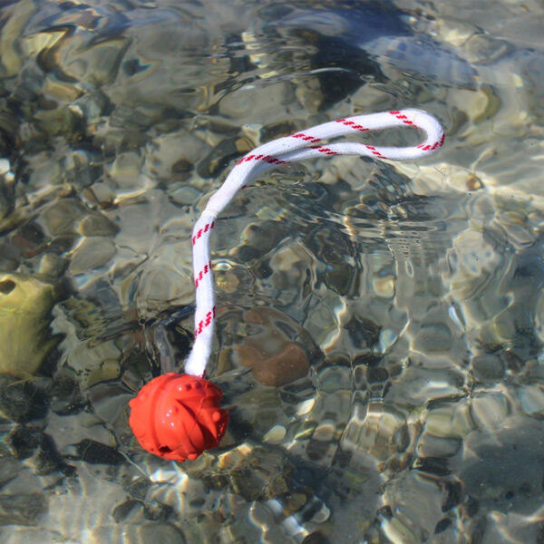 Bold med snor | Flyder på vandet