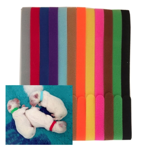 ID hvalpehalsbånd til nyfødte hvalpe - 12 forskellige farver