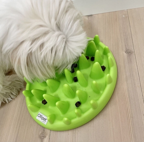 Ollipet Cactus Slow Feeder