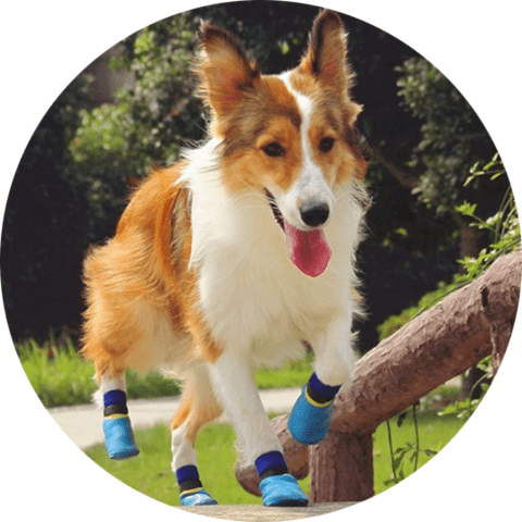 Outdoor waterproof pet socks - vandtaette hundesokker hundestrømper