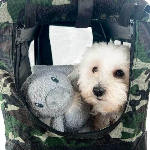 Skøn transporttaske er det perfekte hvilested.