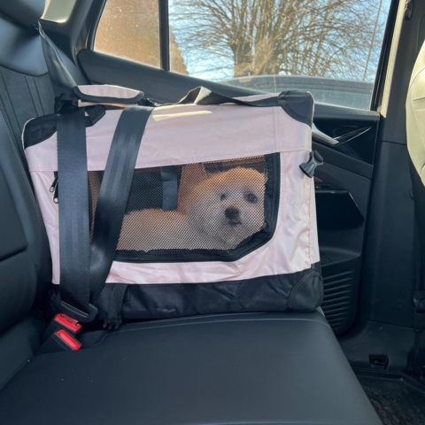 Transporttaske er velegnet til bilen | Fastspændes nemt.