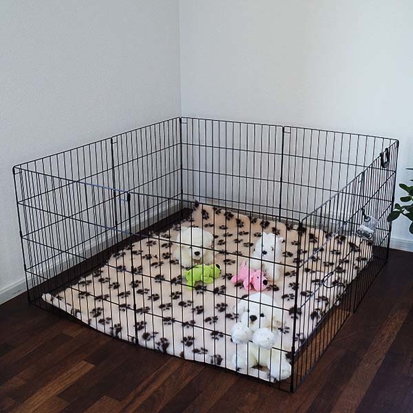 Ollipet hvalpegård | Sort