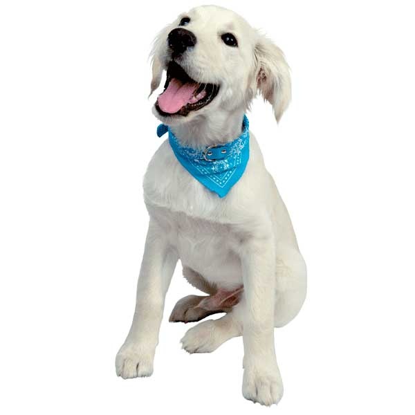 Halsbånd med tørklæde | Lyseblå