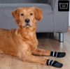 Skridsikre hundestrømper | Trixie