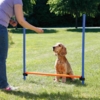 Trixie Agility Hurdle | Agility forhindring