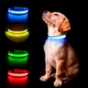 The Stripe Collar - Genopladeligt, lysende halsbånd