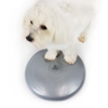 Balancepude til hundefitness
