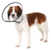 Smart halskrave til din hund god at have efter en operation
