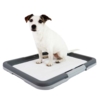 Doggy Trainer | Hundetoilet