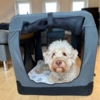 Soft Transportbur Foldbar | Til store hunde
