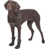 Trixie Paw Protection Walker Active Long | Hundestøvler