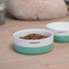 Madskål og vandskål til hunde i flere farver