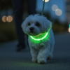 Ollipet Blinkende LED Halsbånd til hunde. Fås i flere farver så de passer til din hund.