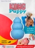 KONG Puppy