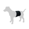Gentleman Wraps | buks til hanhunde med velcroluk