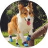 Outdoor waterproof pet socks - vandtaette hundesokker hundestrømper