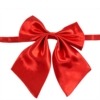 Pyntesløjfe i satin til halsen | Rød