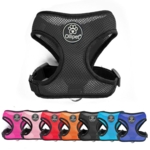 Ollipet sele og line sæt | Mesh