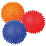 Trixie Pindsvinebold | Tandrensende