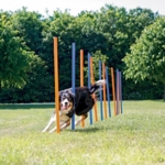 Trixie Agility Slalompinde