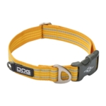 Lemon Gult hundehalsbånd fra Dog Copenhagen