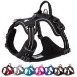 TrueLove Explosion Proof | LUKSUS Hundesele