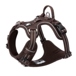 True Love Explosion Proof | Hundesele → Brun